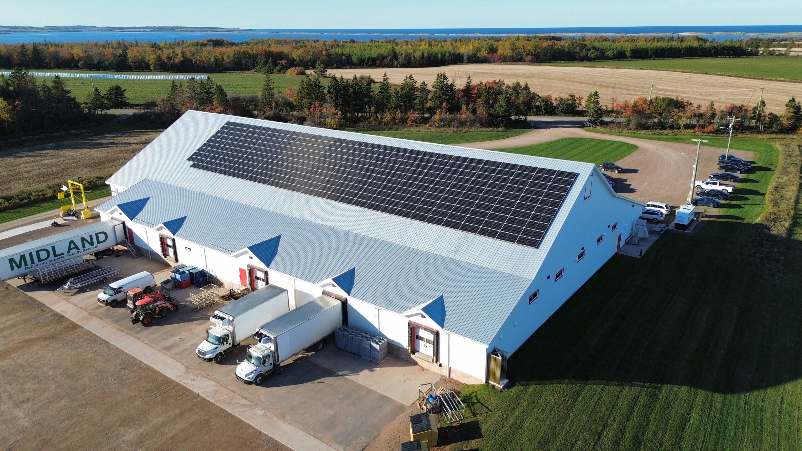 Raspberry Point Oysters